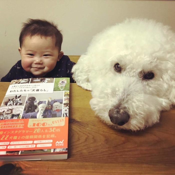 Child-Poodle-Dog-Friendship-Tamanegi-Qoo-Riku