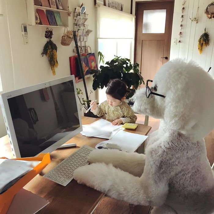 Child-Poodle-Dog-Friendship-Tamanegi-Qoo-Riku