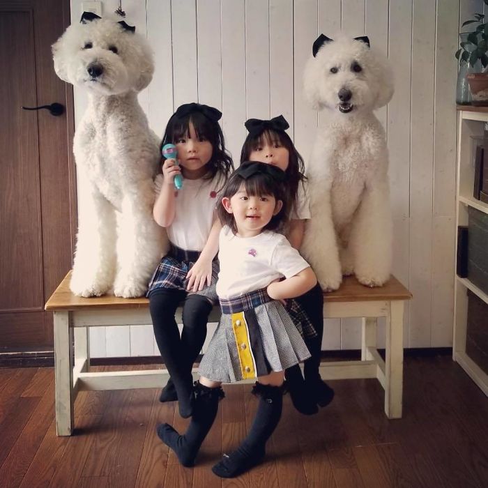 Child-Poodle-Dog-Friendship-Tamanegi-Qoo-Riku