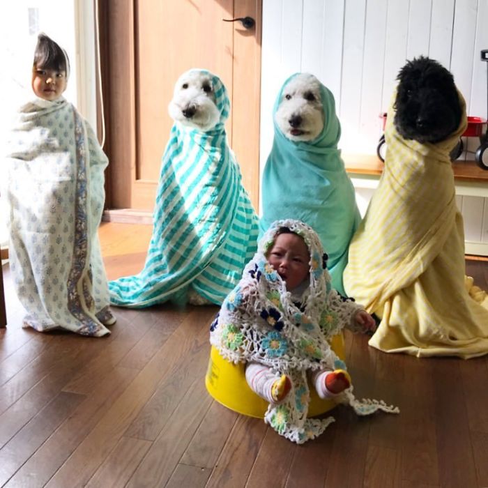 Child-Poodle-Dog-Friendship-Tamanegi-Qoo-Riku