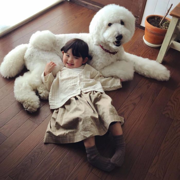 Child-Poodle-Dog-Friendship-Tamanegi-Qoo-Riku