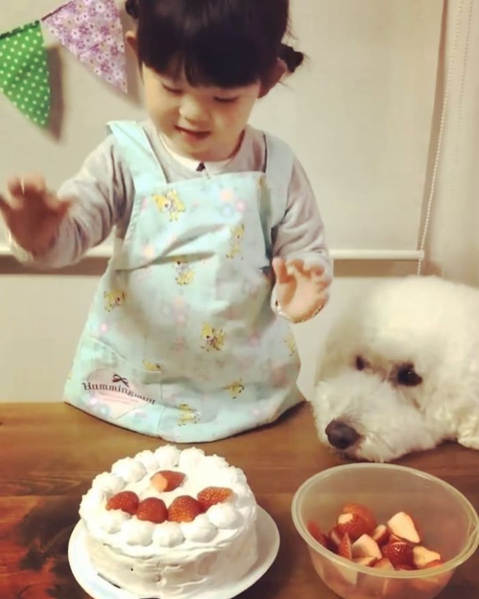 Child-Poodle-Dog-Friendship-Tamanegi-Qoo-Riku