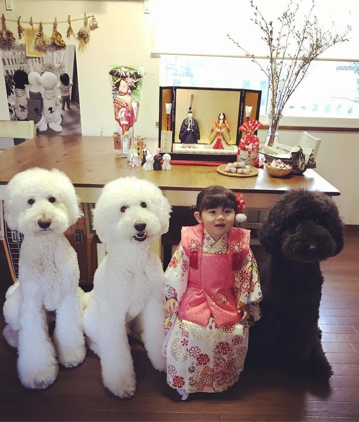 Child-Poodle-Dog-Friendship-Tamanegi-Qoo-Riku