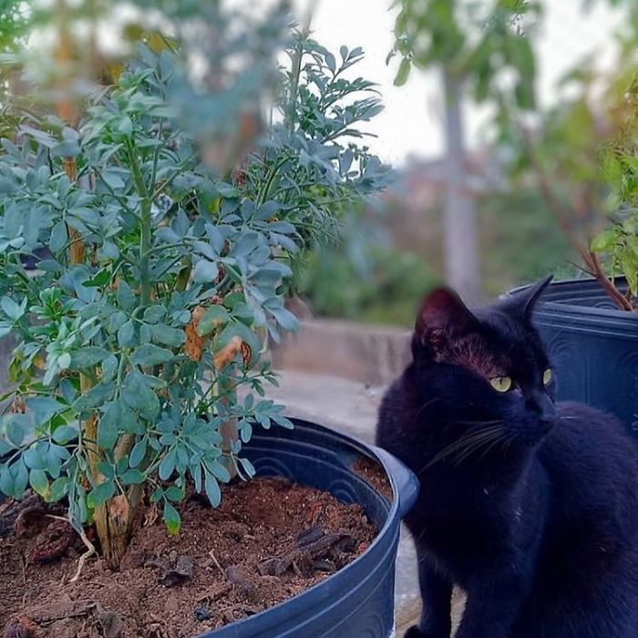 17-Year-Old Opens A Unique Animal Shelter And He Has Already Rescued 22 Dogs And 4 Cats 17-Year-Old Opens A Unique Animal Shelter And He Has Already Rescued 22 Dogs And 4 Cats