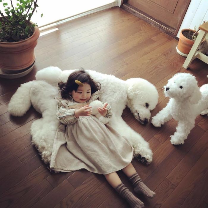 Child-Poodle-Dog-Friendship-Tamanegi-Qoo-Riku