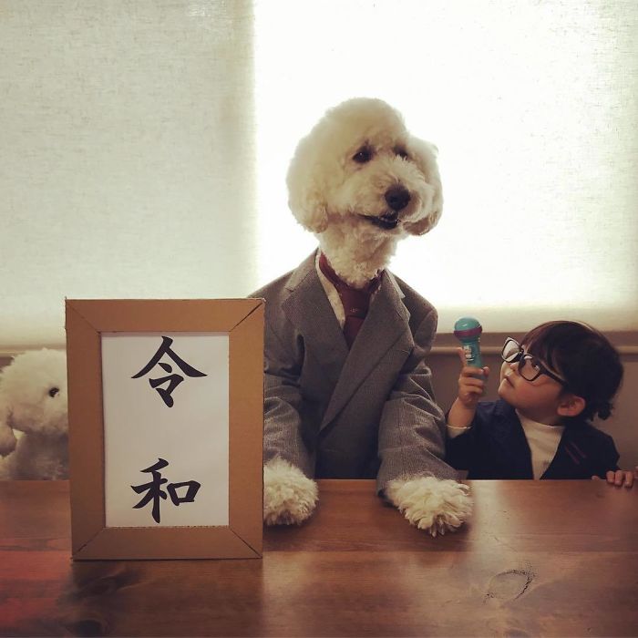 Child-Poodle-Dog-Friendship-Tamanegi-Qoo-Riku