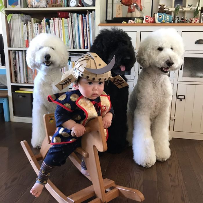 Child-Poodle-Dog-Friendship-Tamanegi-Qoo-Riku
