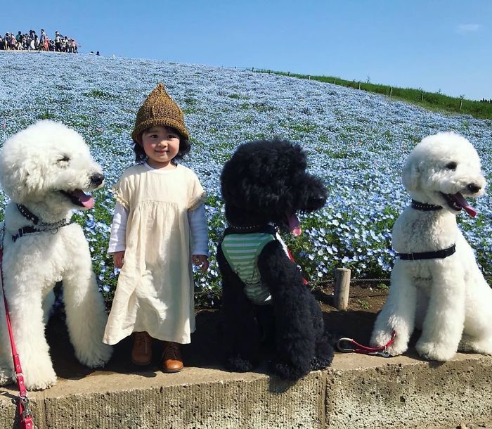 Child-Poodle-Dog-Friendship-Tamanegi-Qoo-Riku