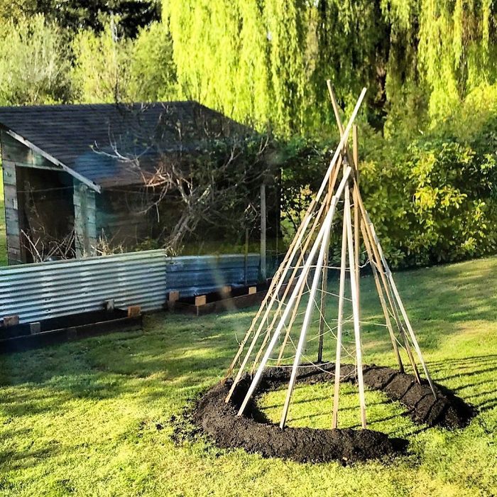 People Are Growing Magical Bean Pole Garden Tents For Their Kids