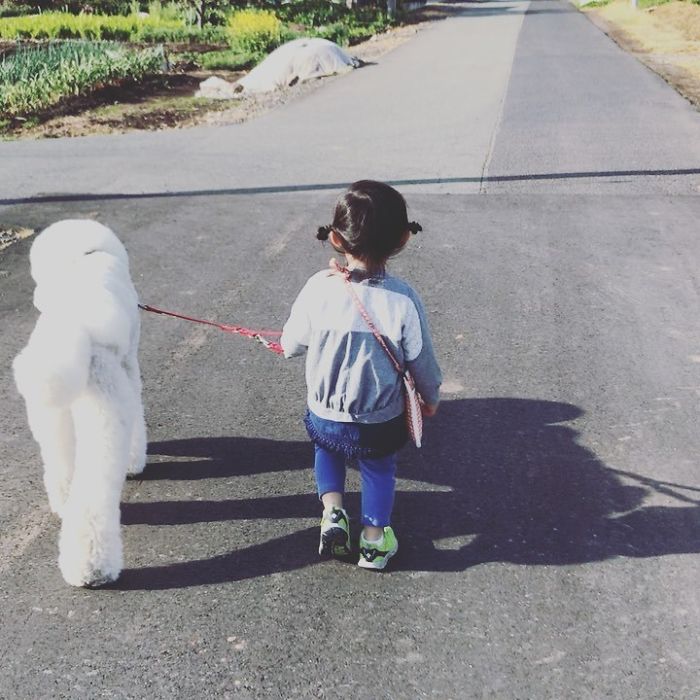 Child-Poodle-Dog-Friendship-Tamanegi-Qoo-Riku