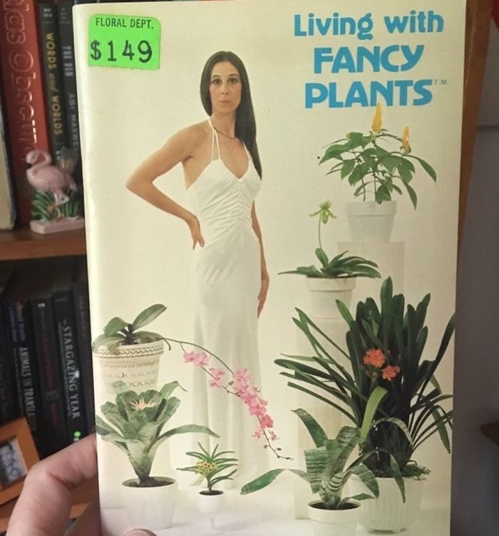 Funny-Thrift-Store-Art