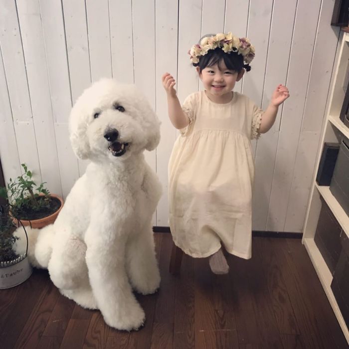 Child-Poodle-Dog-Friendship-Tamanegi-Qoo-Riku