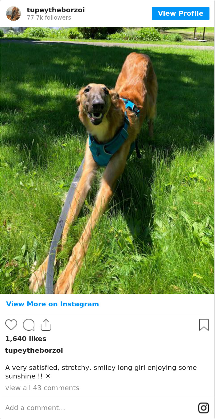 A Very Satisfied, Stretchy, Smiley Long Girl Enjoying Some Sunshine !! ☀️