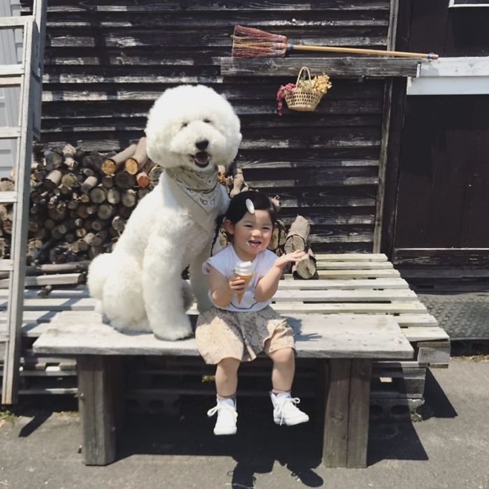 Child-Poodle-Dog-Friendship-Tamanegi-Qoo-Riku