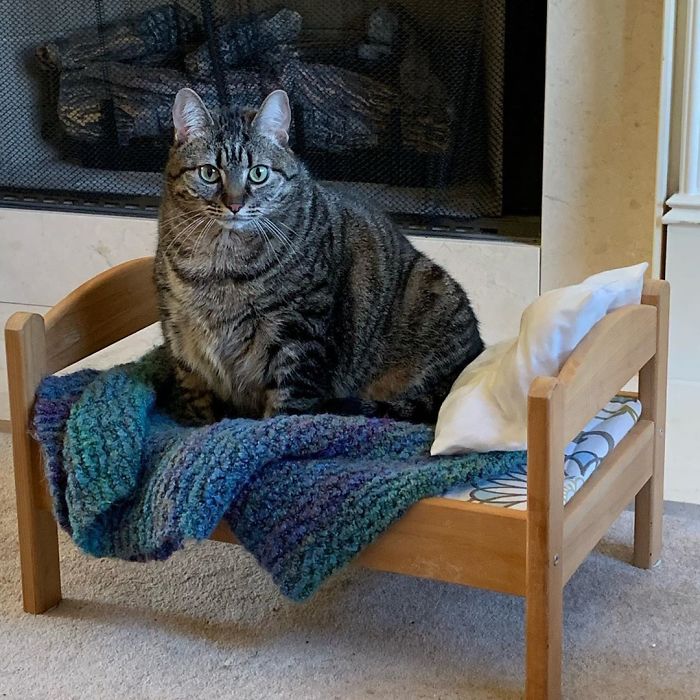 IKEA-Doll-Beds-For-Cats