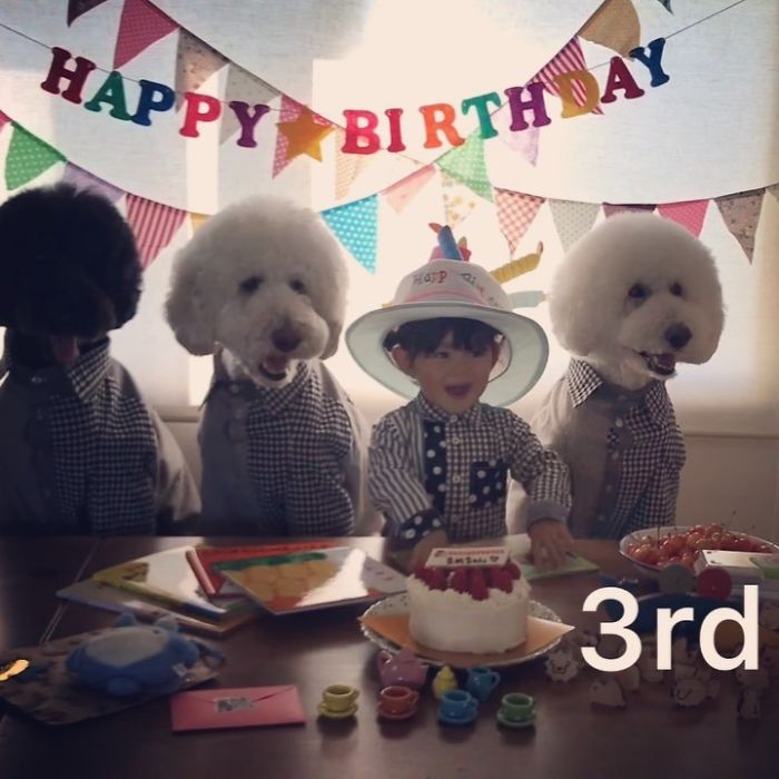 Child-Poodle-Dog-Friendship-Tamanegi-Qoo-Riku