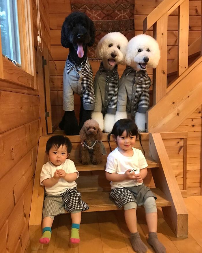 Child-Poodle-Dog-Friendship-Tamanegi-Qoo-Riku