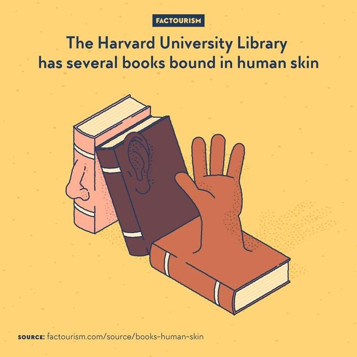 Human Skin Bindings