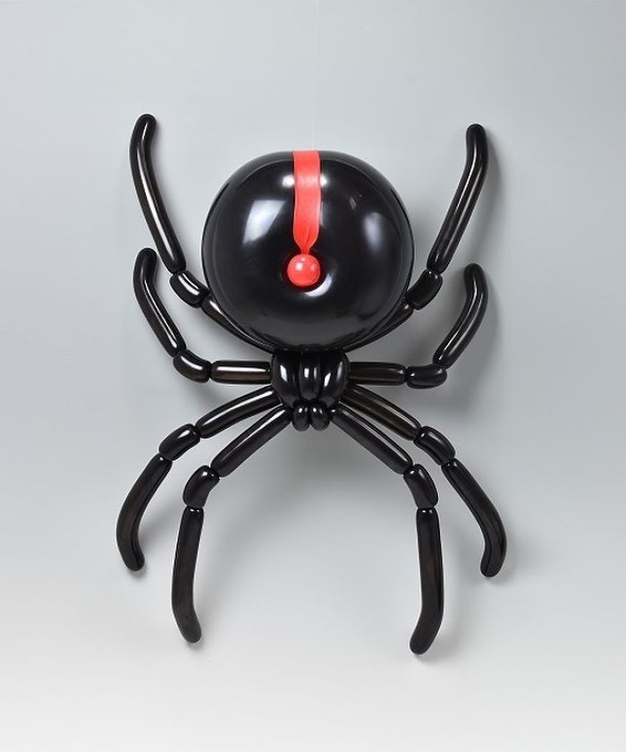 Redback Spider