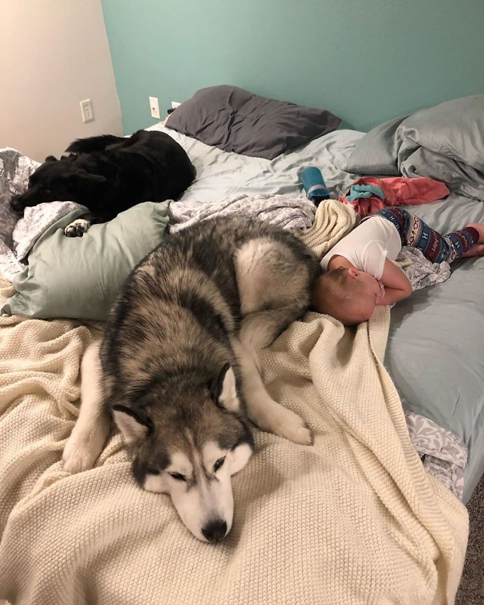 What My Bed Looks Like In The Mornings