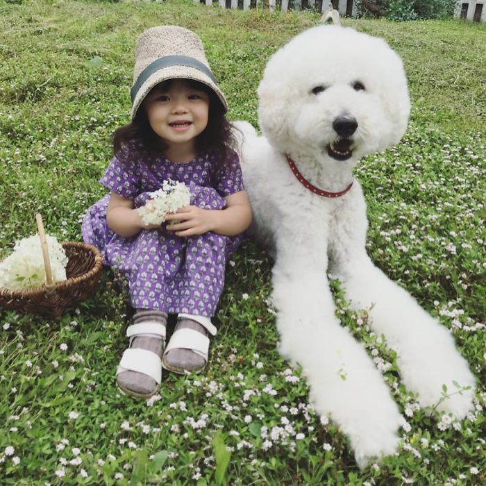 Child-Poodle-Dog-Friendship-Tamanegi-Qoo-Riku