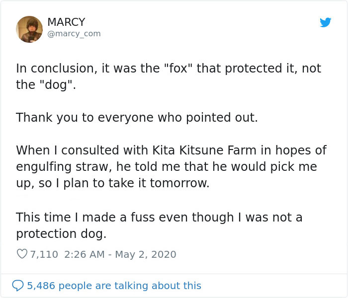 Japanese Man Goes To Social Media To Search For The Owners Of The "Puppy" He Found, Finds Out It's Not A Puppy After All Japanese Man Goes To Social Media To Search For The Owners Of The "Puppy" He Found, Finds Out It's Not A Puppy After All