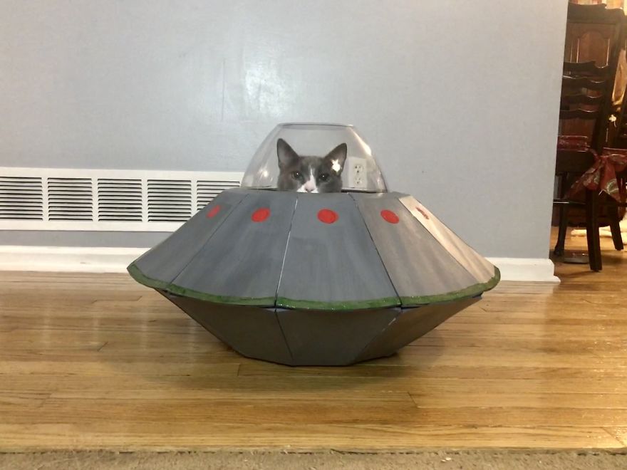 UFO Cat Bed That Is Out Of This World