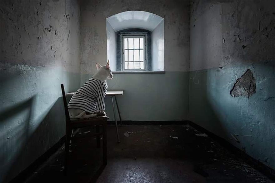 You Can't Die Of Coronavirus If You're Killed In A Prison Riot