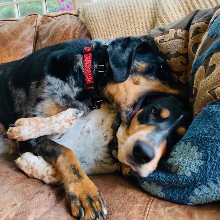 Are You Going To Just Sit There And Let This Happen?