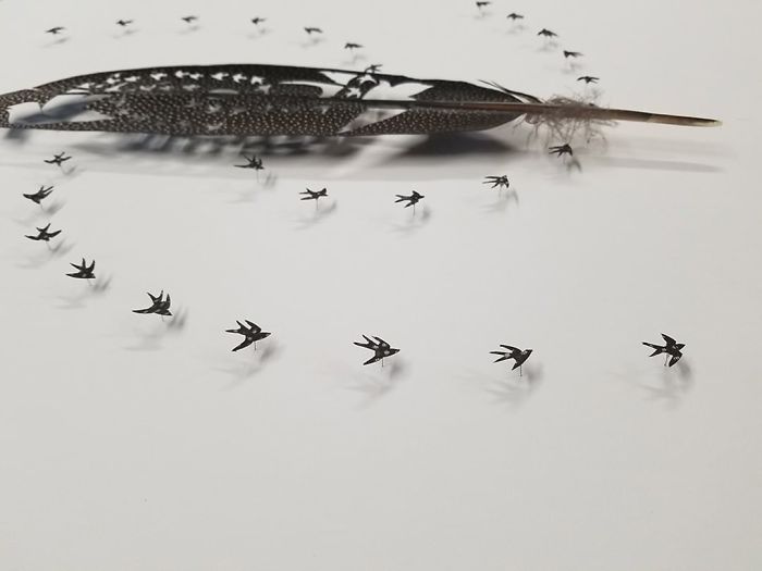 Chris Maynard At Featherfolio Returns With More Feather Carvings