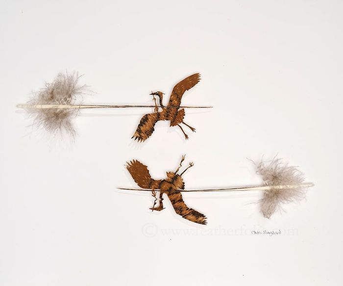 Chris Maynard At Featherfolio Returns With More Feather Carvings