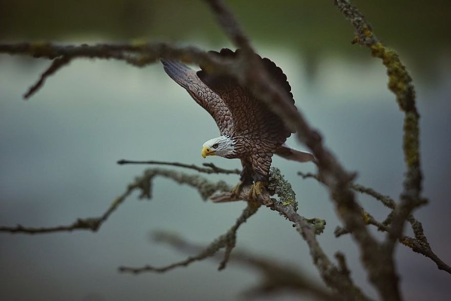 Mother Of 2 Captures The Magic World Of Toys During Quarantine