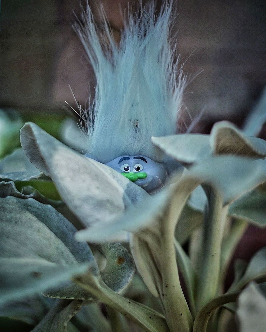 Mother Of 2 Captures The Magic World Of Toys During Quarantine