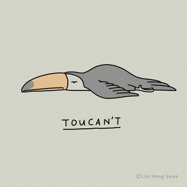 Toucan