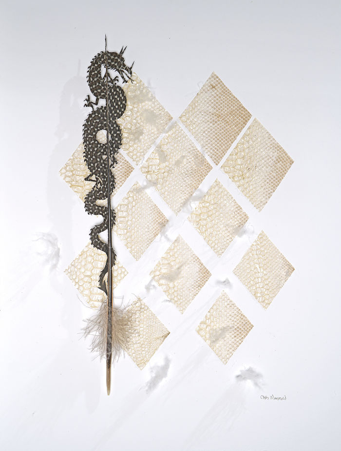 Chris Maynard At Featherfolio Returns With More Feather Carvings