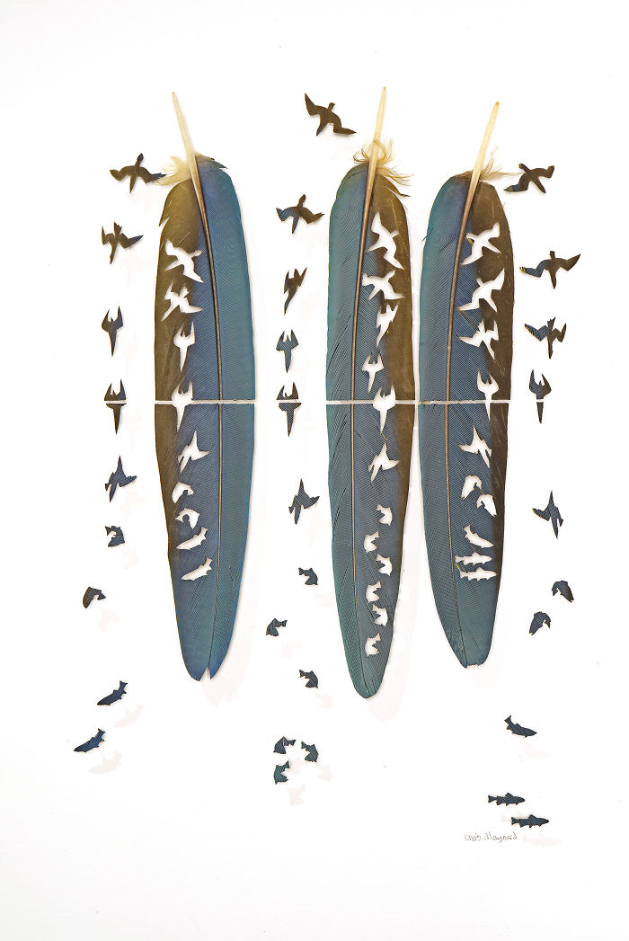 Chris Maynard At Featherfolio Returns With More Feather Carvings
