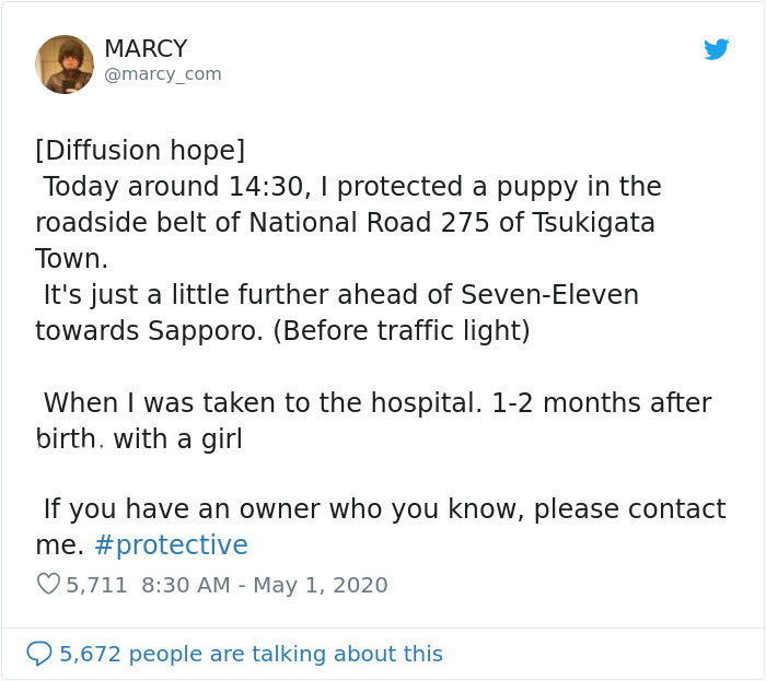 Japanese Man Goes To Social Media To Search For The Owners Of The "Puppy" He Found, Finds Out It's Not A Puppy After All Japanese Man Goes To Social Media To Search For The Owners Of The "Puppy" He Found, Finds Out It's Not A Puppy After All