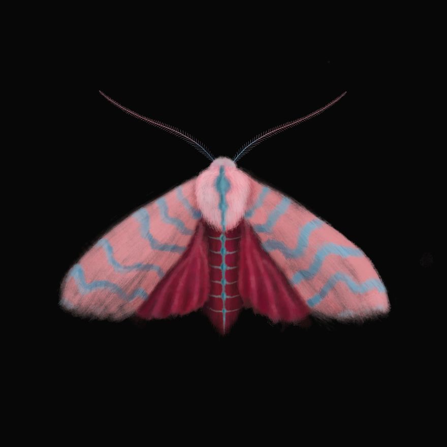 I Created Surreal Moths During Covid-19 Isolation