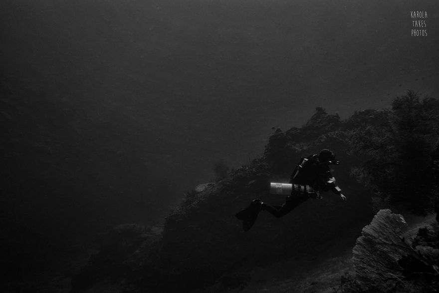 I Went For Holidays To Indonesia, Never Left And Became An Underwater Photographer. My Black And White Uw Photos. I Went For Holidays To Indonesia, Never Left And Became An Underwater Photographer. My Black And White Uw Photos.