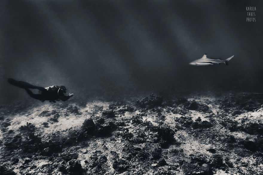 I Went For Holidays To Indonesia, Never Left And Became An Underwater Photographer. My Black And White Uw Photos.