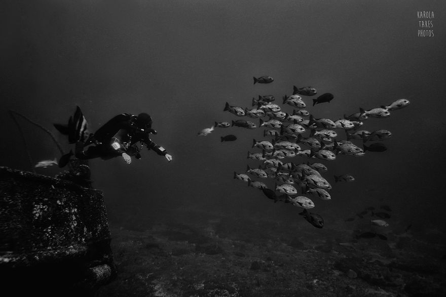 I Went For Holidays To Indonesia, Never Left And Became An Underwater Photographer. My Black And White Uw Photos. I Went For Holidays To Indonesia, Never Left And Became An Underwater Photographer. My Black And White Uw Photos.