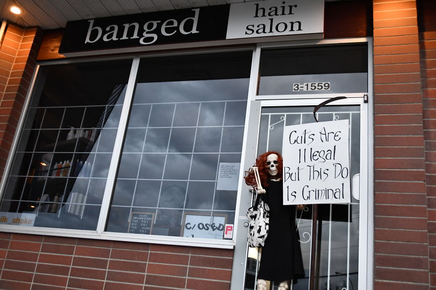 My Halloween Skeletons Became "Humerus" Counter Protestors My Halloween Skeletons Became "Humerus" Counter Protestors