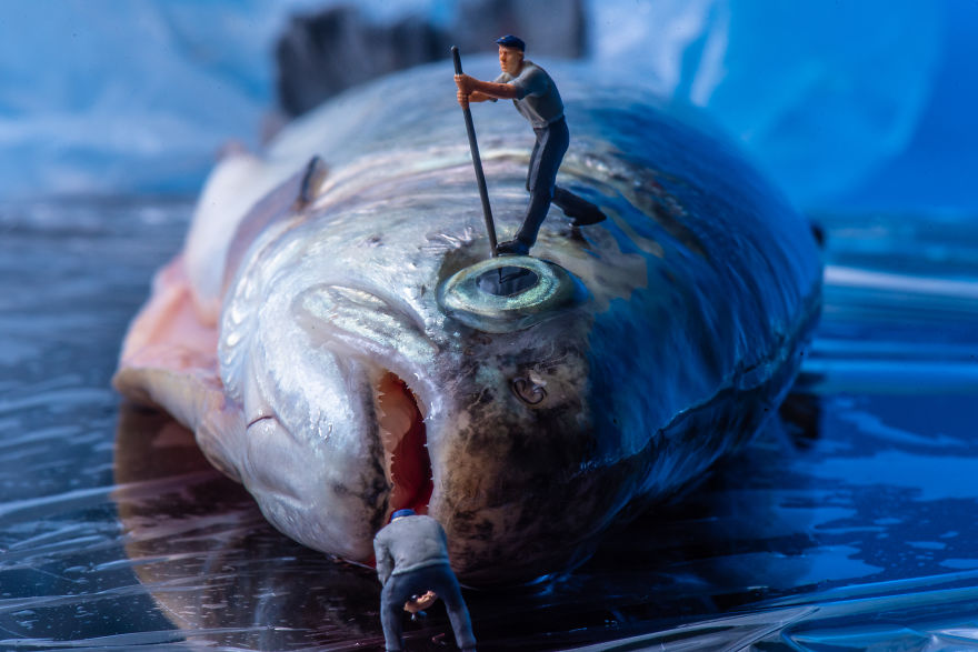 I Made Food Photos Looks Like A Miniature Horror Movies I Made Food Photos Looks Like A Miniature Horror Movies