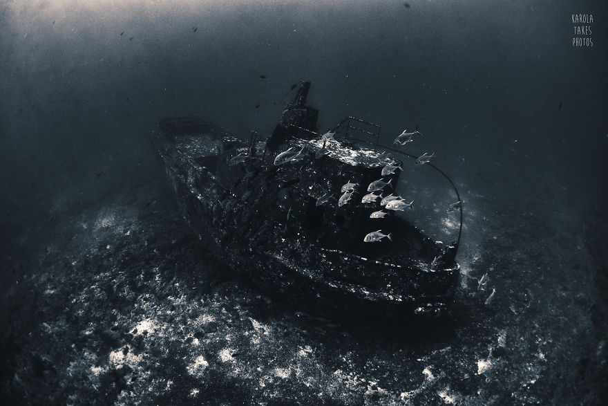 I Went For Holidays To Indonesia, Never Left And Became An Underwater Photographer. My Black And White Uw Photos. I Went For Holidays To Indonesia, Never Left And Became An Underwater Photographer. My Black And White Uw Photos.