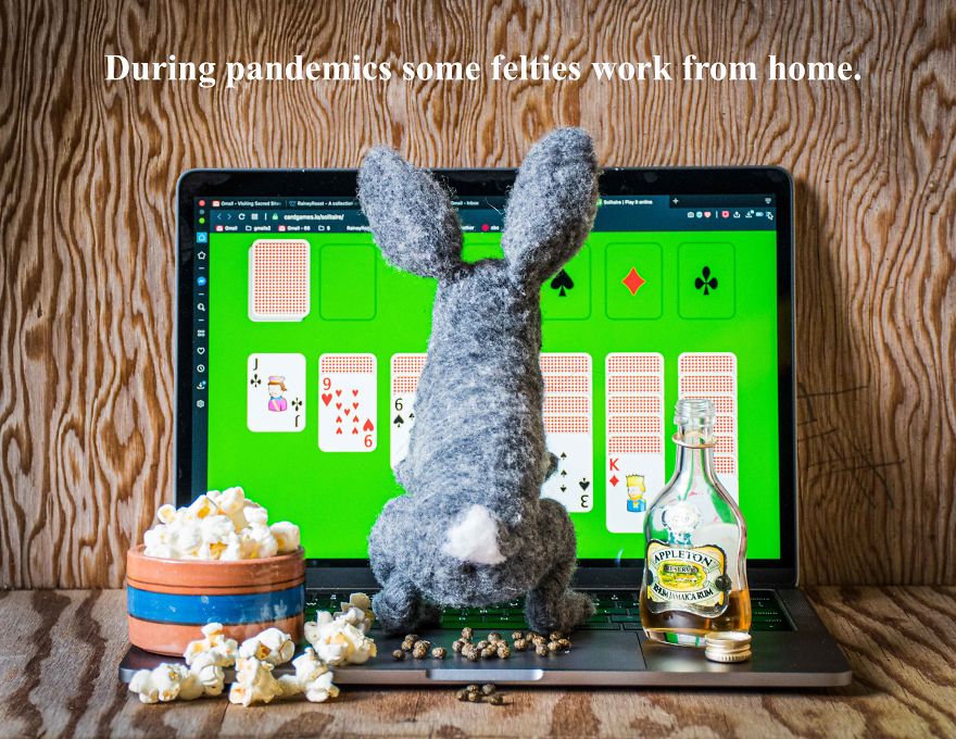 Felties In Quarantine Felties In Quarantine