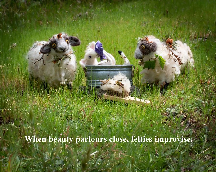 Felties In Quarantine Felties In Quarantine