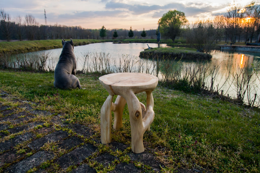 Inovative Furniture Design Or Artistic Masterpiece? These Artists Create Amazing Functional Sculptures Out Of Single Trunk By Chainsaw Carving! Inovative Furniture Design Or Artistic Masterpiece? These Artists Create Amazing Functional Sculptures Out Of Single Trunk By Chainsaw Carving!