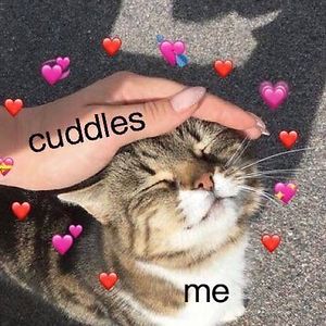 evelynmariaarriaza avatar