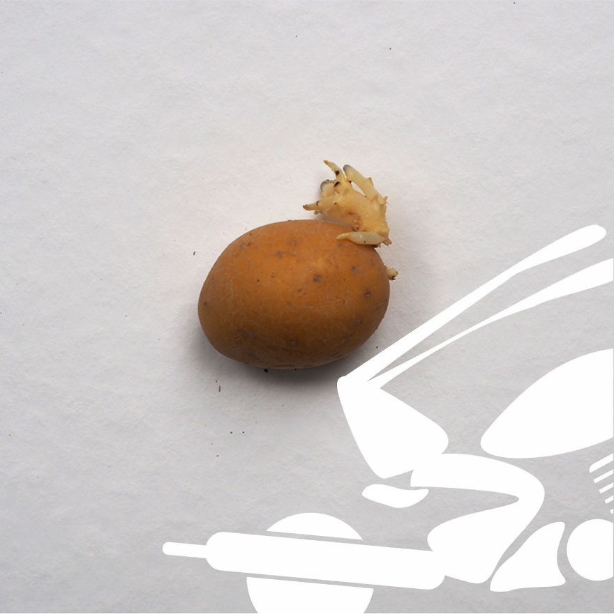 Be A "I Wanna Go For A Harley Ride" Potato