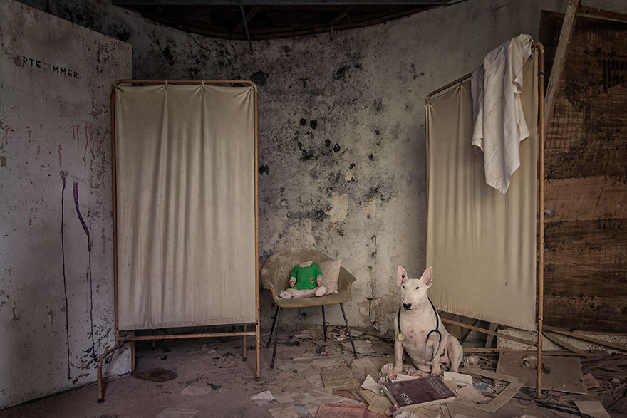 If You Need 120 Rolls Of Toilet Paper For A Two-Week Quarantine You Probably Should Have Been Seeing A Doctor Long Before